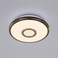 Накладной светильник Citilux CL70313