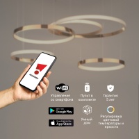 Подвесная люстра Eurosvet 90275/5 медный Smart