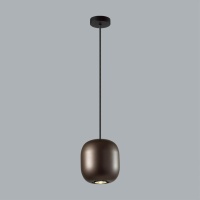 Подвесной светильник Odeon Light 5060/1DA