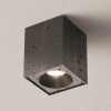 Потолочный светильник Technical C030CL-01B