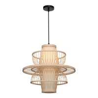 Подвесная люстра ST-Luce SL6241.513.01