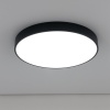 Накладной светильник Citilux CL72495G1