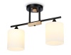 Накладной светильник Ambrella Light TR9543