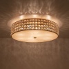 Накладной светильник Citilux CL324182