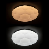 Накладной светильник ARTE Lamp A2676PL-72WH