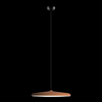 Детский светильник LOFT IT 10119 Orange