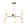 Evoluce SLE106203-06