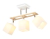 Накладной светильник Ambrella Light TR9505