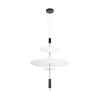Подвесной светильник LOFT IT 10244/C Black