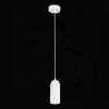 Подвесной светильник ST-Luce SL1213.503.01