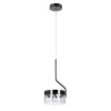 Подвесной светильник ARTE Lamp A2094SP-1BK