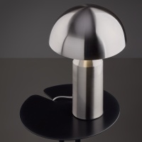 Настольный светильник Freya FR5218TL-02N