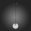 Подвесной светильник ST-Luce SL234.403.01