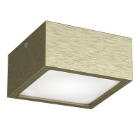 Влагозащищенный светильник Lightstar 213921