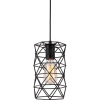Подвесной светильник TOPLIGHT TL1175H-01BK