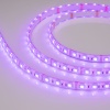Лента Arlight 029599(2)