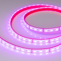 Лента Arlight 033790