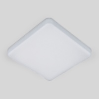 Накладной светильник Elektrostandard DLS043 10W 4200K