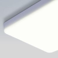Накладной светильник Elektrostandard DLS043 10W 4200K