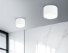 Накладной светильник Ambrella Light TN52892