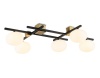 Накладная люстра Ambrella Light LH51015