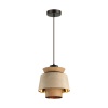 Подвесной светильник Odeon Light 4992/1