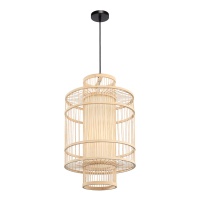 Подвесная люстра ST-Luce SL6241.523.01