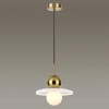 Подвесной светильник Odeon Light 5014/1B