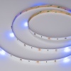 Лента Arlight 033220
