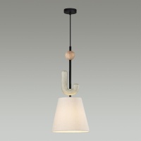 Подвесной светильник Odeon Light 5410/1