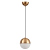 Подвесной светильник Odeon Light 4960/1