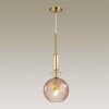 Подвесной светильник Odeon Light 4862/1