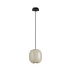 Подвесной светильник Odeon Light 5060/1GA