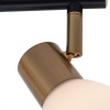 Спот ARTE Lamp A3117PL-2BK