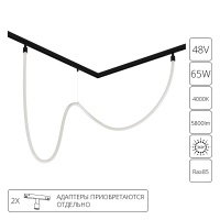 Светильник на шине ARTE Lamp A4911PL-1BK