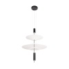 Подвесной светильник LOFT IT 10244/B Black