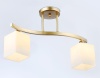 Накладной светильник Ambrella Light TR303119