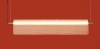 Подвесной светильник Freya FR5556PL-L22BBS