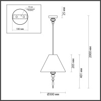 Подвесной светильник Odeon Light 4896/1