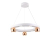 Подвесной светильник Ambrella Light FL5959