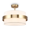 Потолочный светильник Freya FR5367CL-03BS