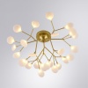 Накладная люстра ARTE Lamp A7274PL-27GO