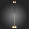 Подвесной светильник ST-Luce SL6000.303.01