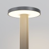 Ландшафтный светильник Outdoor O420FL-L12GF