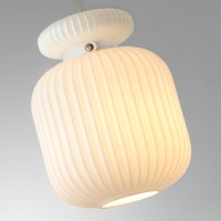 Подвесной светильник Odeon Light 5042/1C