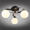 Накладная люстра Omnilux OML-25407-03