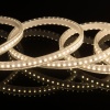 Лента Elektrostandard LS014 220V8W 60Led 2835 IP65 4200