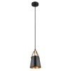 Подвесной светильник ARTE Lamp A7032SP-1BK