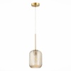 Подвесной светильник ST-Luce SL1154.333.01