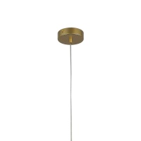 Подвесной светильник F-Promo 2922-1P